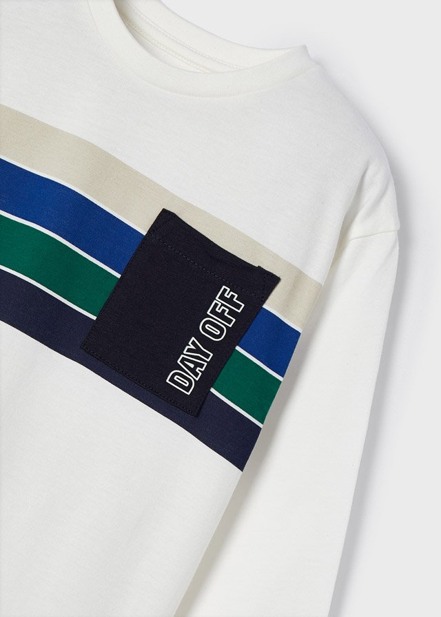 ECOFRIENDS long sleeve stripes T-shirt boy