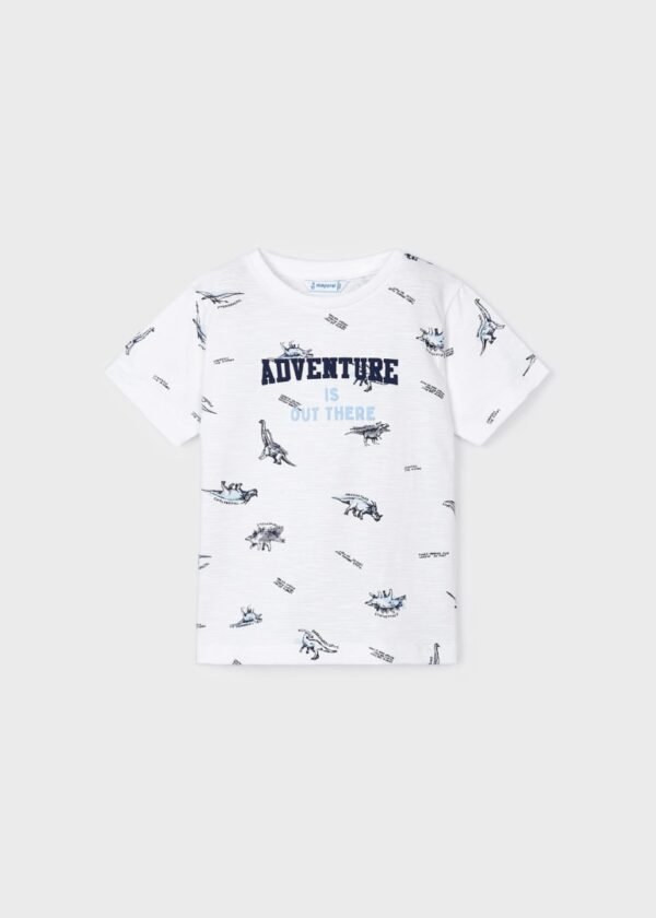 Sustainable cotton print T-shirt boy