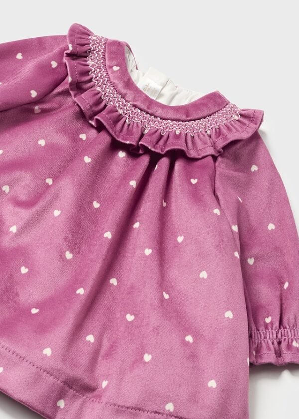 Newborn velvet dress