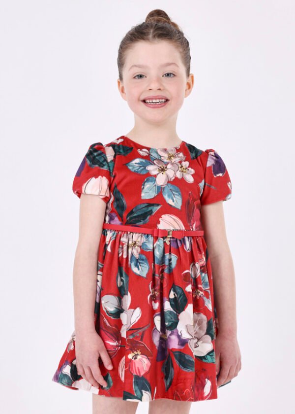 Girl print velvet dress