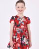 Girl print velvet dress