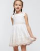 Girl Embroidered Dress Better Cotton