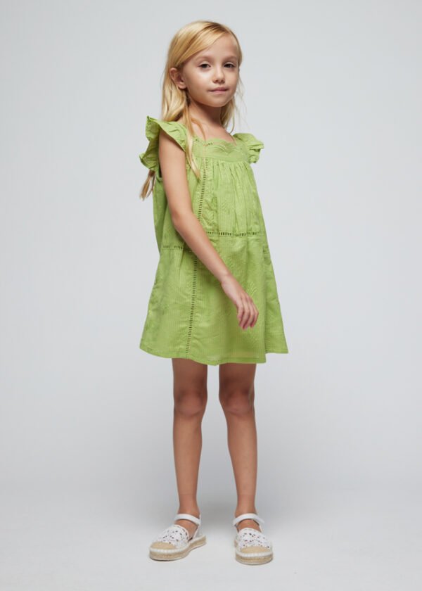 Girl Embroidered Dress Better Cotton