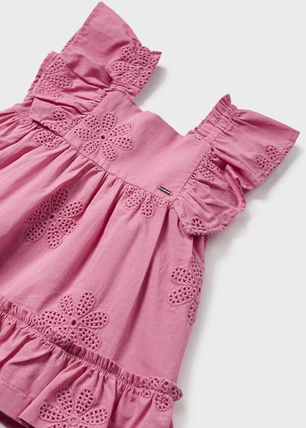 Baby Embroidered Ruffle Dress