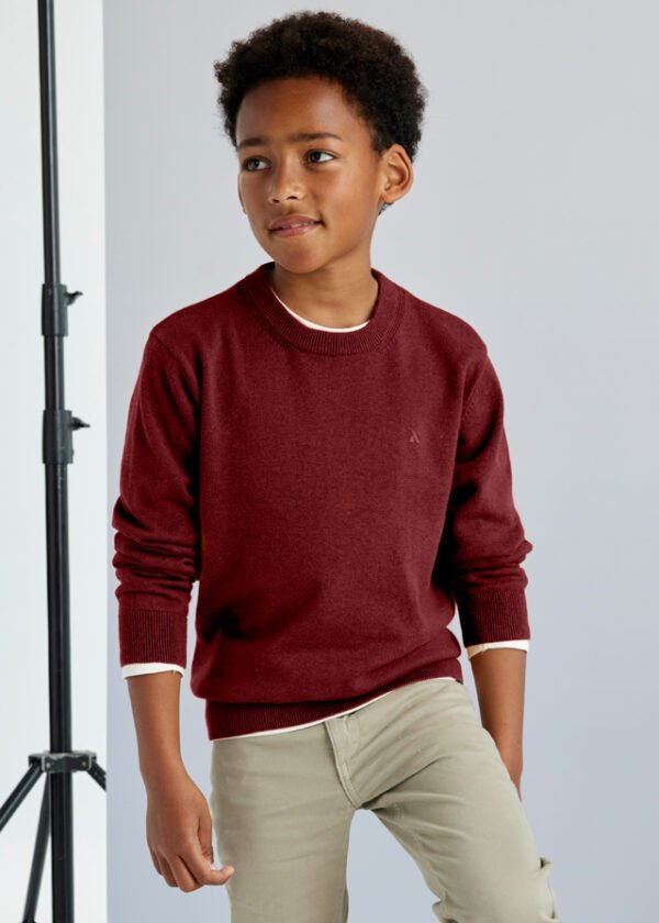 Boy basic cotton jumper Better Cotton