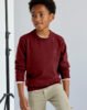 Boy basic cotton jumper Better Cotton