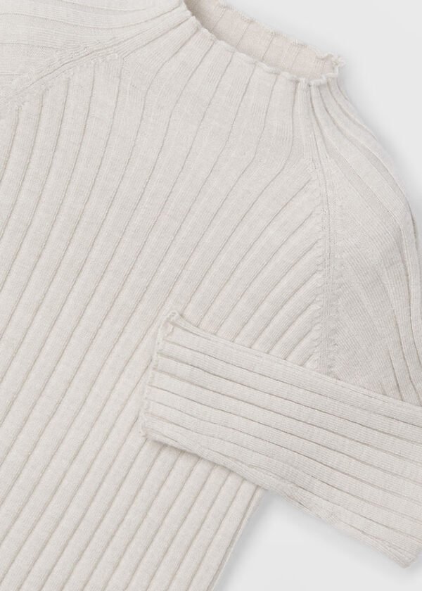 Girl Ribbed Turtleneck