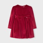 Girl velvet dress