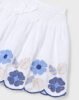 Girl embroidered skirt