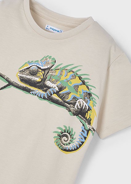 Boy chameleon t-shirt