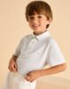 Boy Polo Shirt