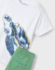 Boy Turtle T-Shirt and Shorts Set