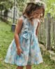 Girl floral print dress