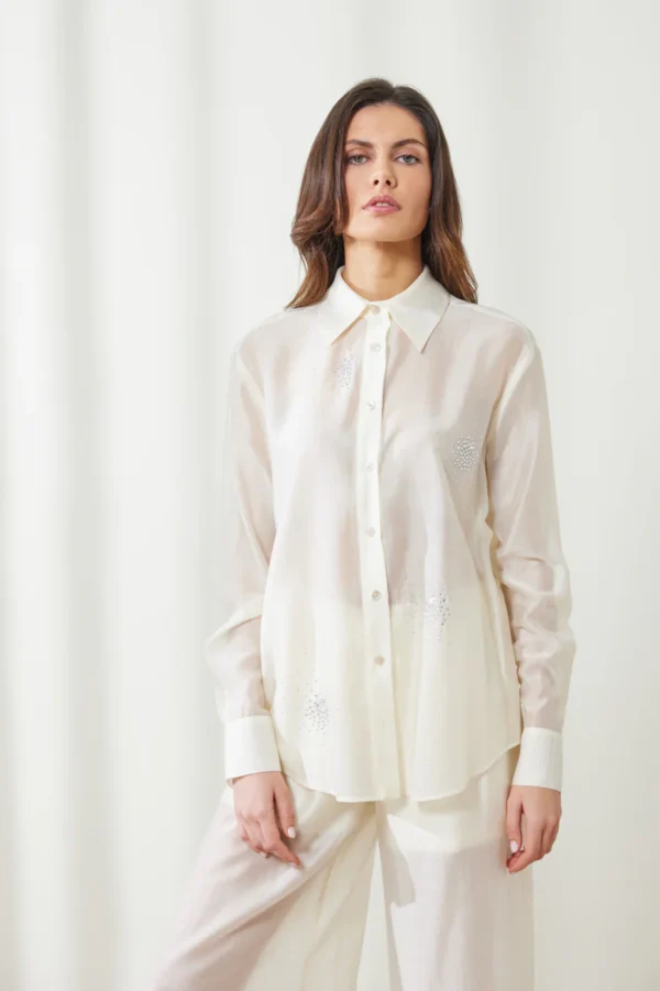 See through shirt