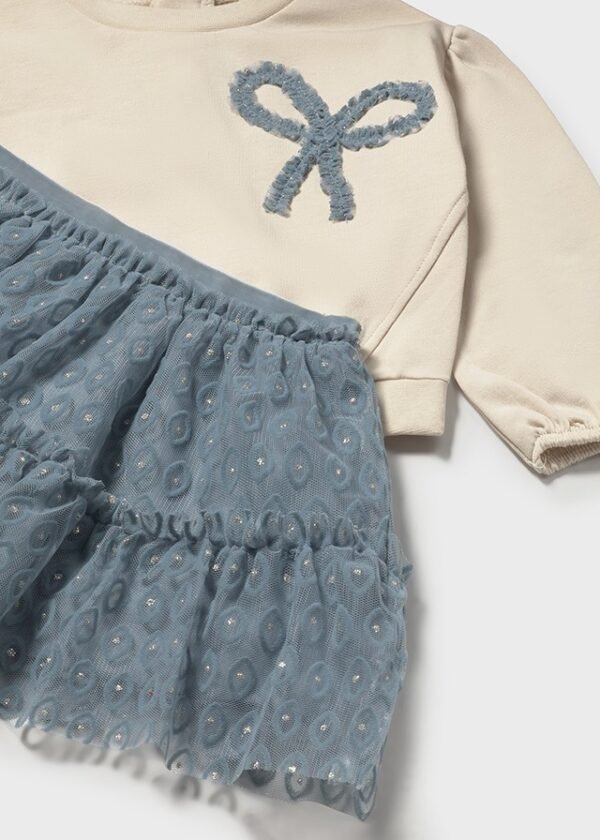 Baby tulle skirt and jumper set