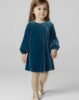 Girls velvet dress