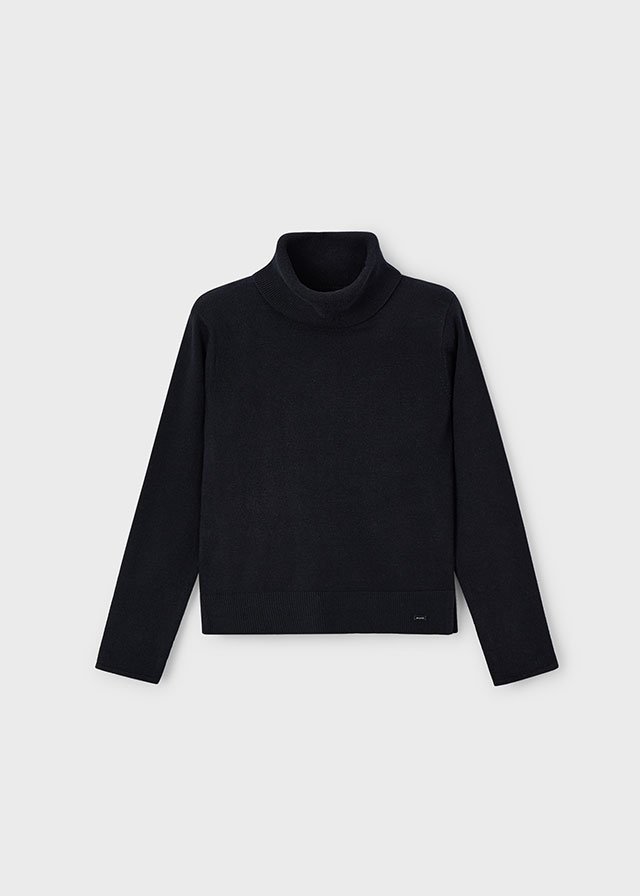 Girl Basic Turtleneck Jumper