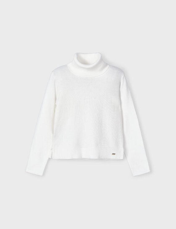 Girl Basic Turtleneck Jumper