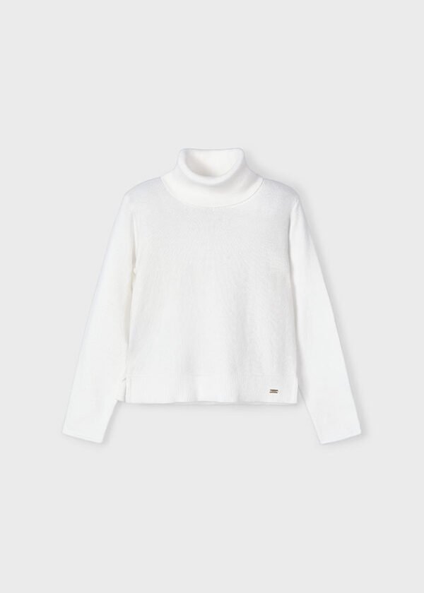 Girl Basic Turtleneck Jumper