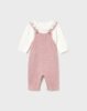 Newborn dungaree set