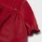 Newborn velvet dress
