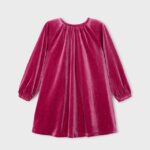 Girls velvet dress