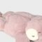 Baby unisex bear back pack