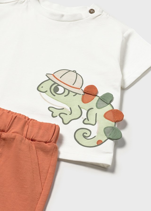 Baby trousers and T-shirt set
