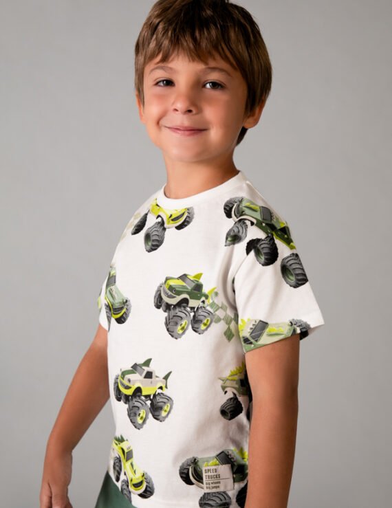 Printed T-shirt for boys