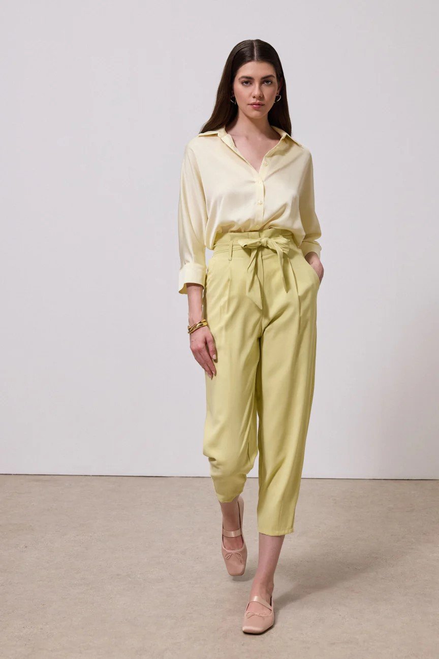 High waist pleat pants