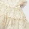 Newborn ceremony tulle dress