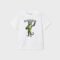 T-shirt for boys