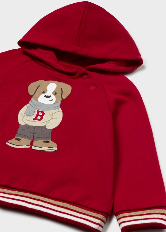 Baby hooded sweatshirt